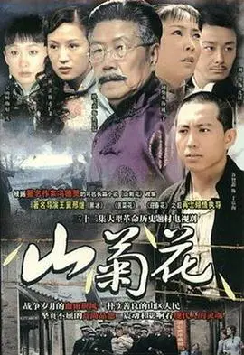 山菊花2007:绽放山野的纯美与情感交织