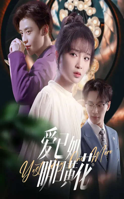 《爱已如明日黄花》:错过与重逢,一场关于爱的命运轮回